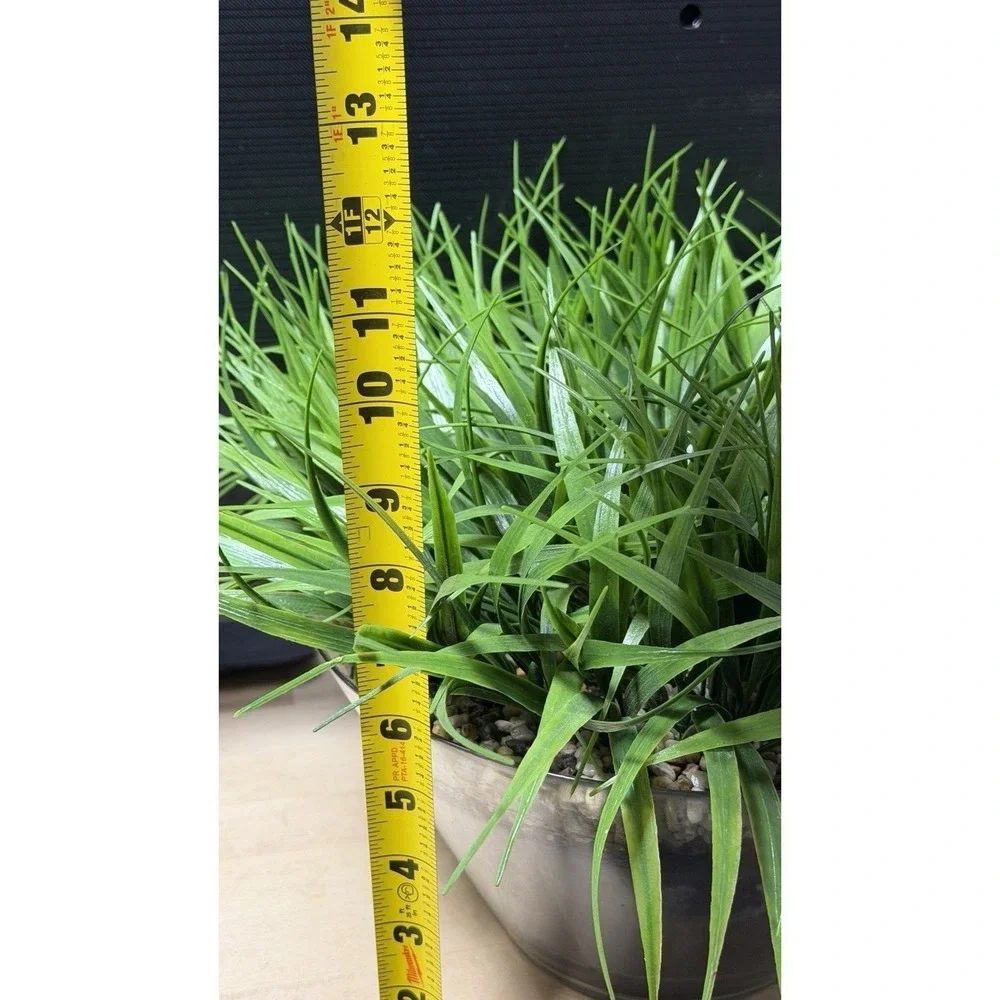 Artificial Grass‎ Plant in Glass Pot Faux Green Decor ~12